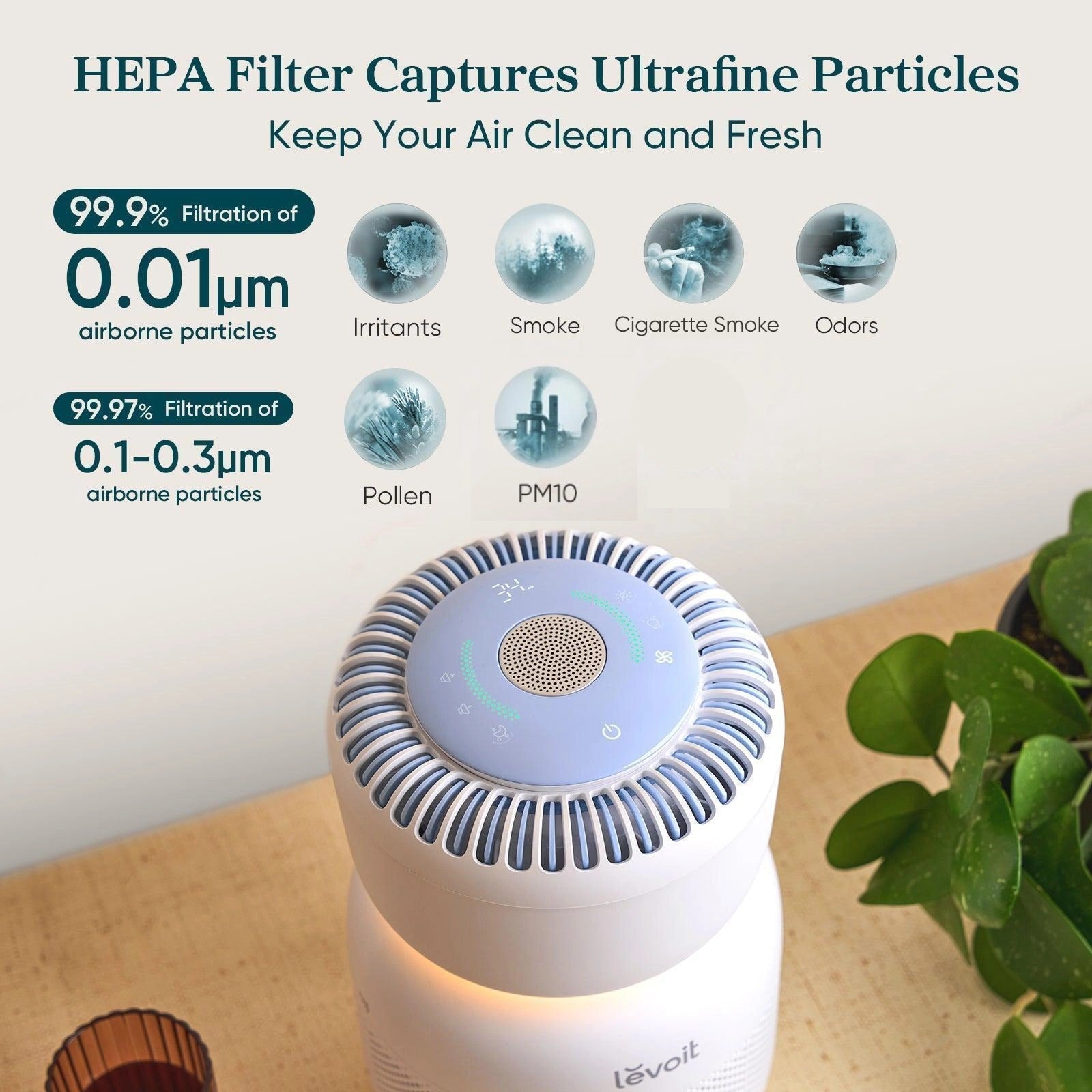 Levoit Sprout Air Purifier - Image 4