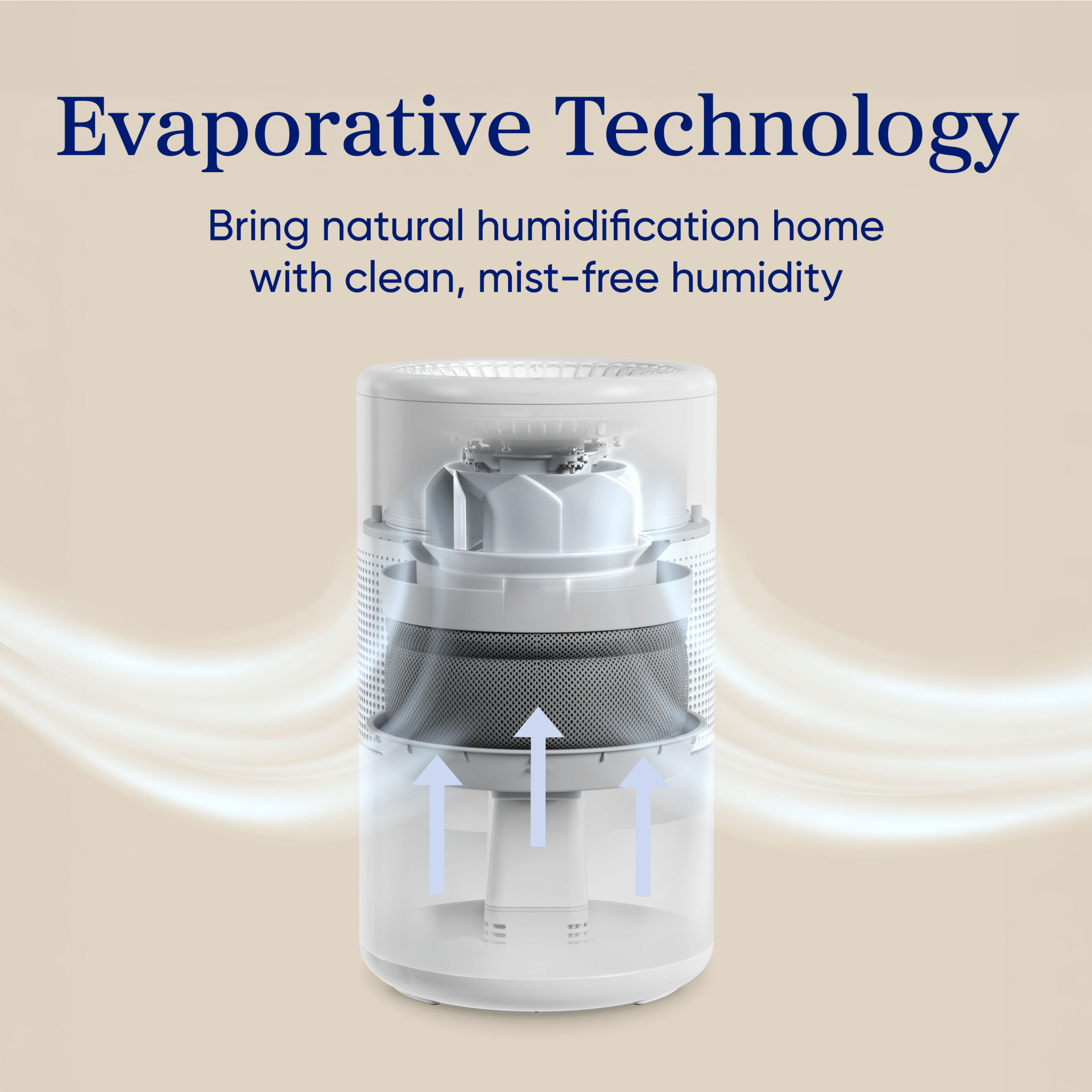 Levoit Superior™ Studio Evaporative Humidifier - Image 2