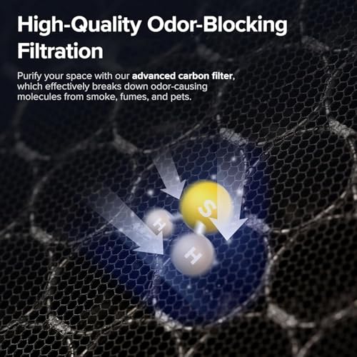 Vital 100S Replacement Filter - Image 6