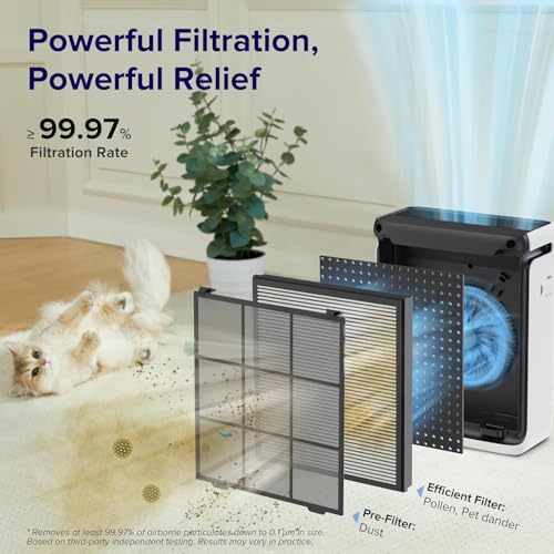 Vital 100S Replacement Filter - Image 4