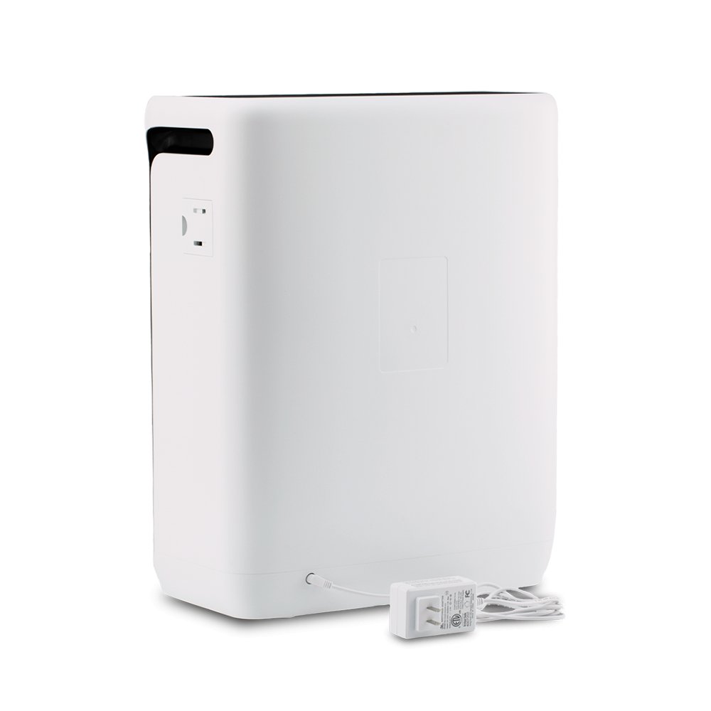 Wildfire Protection Bundle - Vital 200S-P + Toxin Filter - Image 7